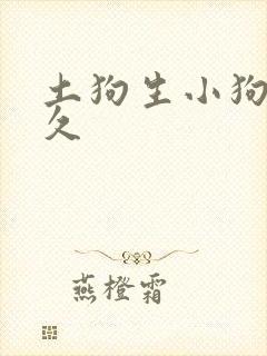 土狗生小狗要多久