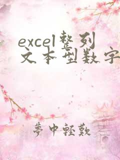 excel整列文本型数字转为数字
