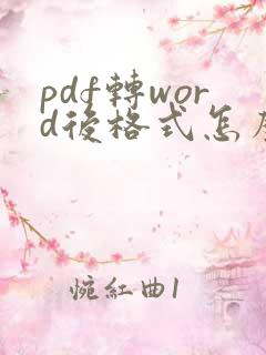 pdf转word后格式怎么调整