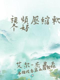 视频压缩软件哪个好