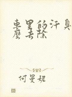 车里的汗臭味怎么去除