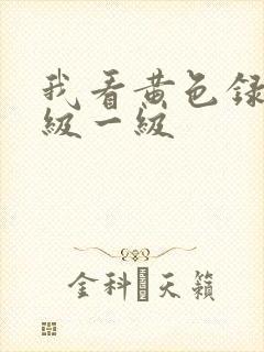 我看黄色录像特级一级