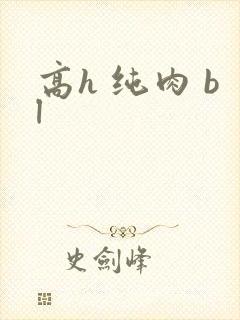 高h 纯肉 bl