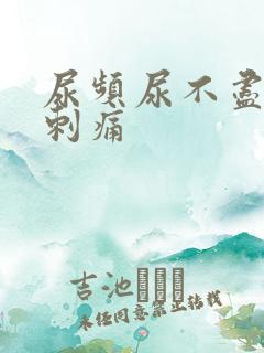 尿频尿不尽尿道刺痛