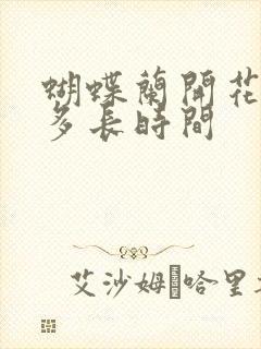 蝴蝶兰开花能开多长时间