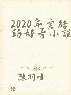 2020年完结的好看小说