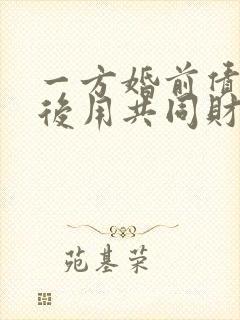 一方婚前债务婚后用共同财产偿还