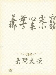 姜爷心尖宠她从乡下来小说免费