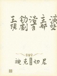 王钧浩主演的电视剧有哪些