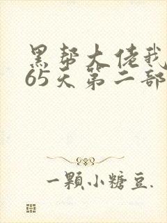 黑帮大佬我的365天第二部