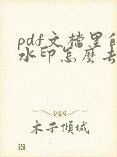 pdf文档里的水印怎么去掉