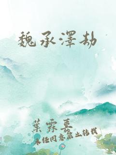 魏承泽劫