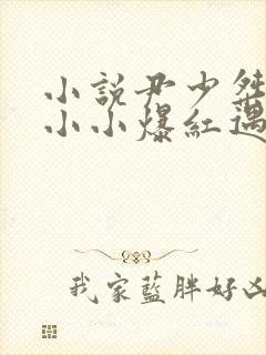 小说尹少桀,慕小小爆红遇见