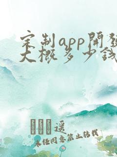 定制app开发大概多少钱