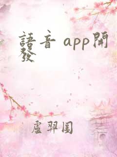 语音 app开发