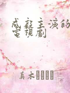 成毅主演的古装电视剧
