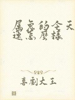 属兔的今天的财运怎么样