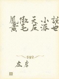 凤傲天小说里的黄毛反派也想幸福》