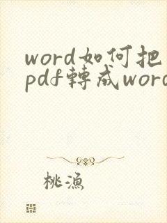 word如何把pdf转成word