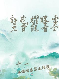 许我耀眼电视剧免费观看全部15集