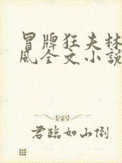 冒牌狂夫林悦顾风全文小说