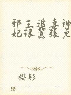 邪王追妻神医狂妃很嚣张免费阅读