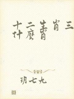 十二生肖三更指什么肖