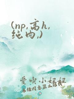 (np,高h,纯肉,)