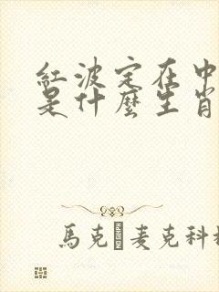 红波定在中间发是什么生肖