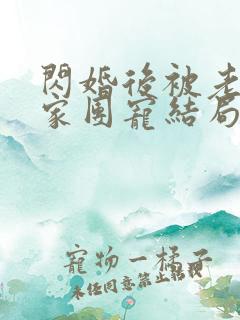 闪婚后被老公全家团宠结局