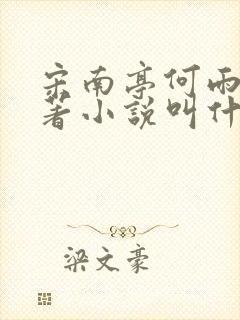 宋南亭何雨佳原著小说叫什么