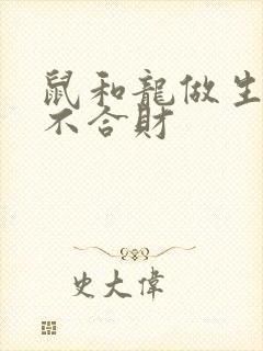 鼠和龙做生意合不合财