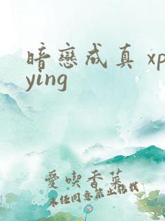 暗恋成真 xpying