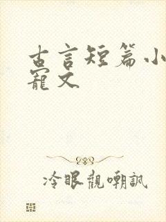 古言短篇小说甜宠文