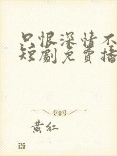 只恨深情不识鸢短剧免费播放全集