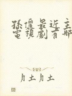 孙俪最近主演的电视剧有哪些电视剧
