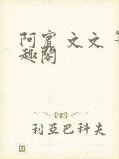 阿宾 文文 笔趣阁
