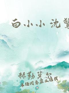 白小小 沈惊觉