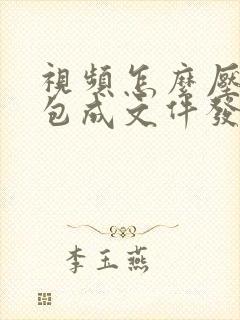 视频怎么压缩打包成文件发送