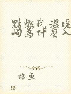 点燃我温暖你李峋为什么入狱