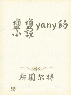 盐盐yany的小说