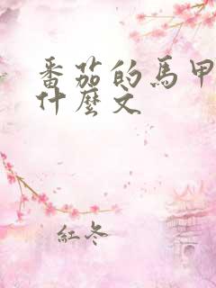 番茄的马甲都有什么文