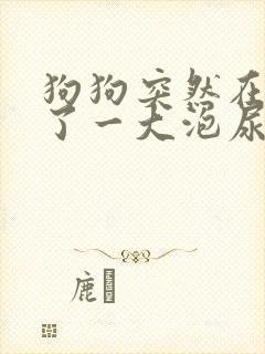 狗狗突然在家尿了一大泡尿