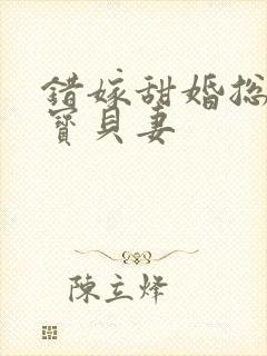 错嫁甜婚总裁的宝贝妻