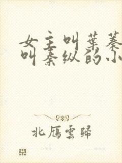 女主叫叶蓁男主叫秦纵的小说