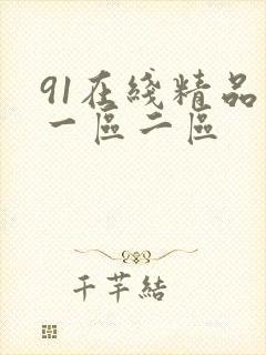 91在线精品 一区二区