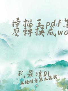 扫描王pdf怎么转换成word