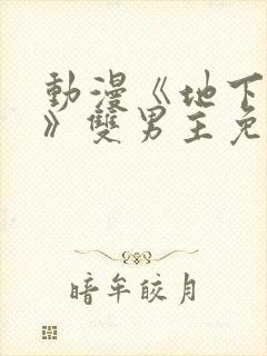 动漫《地下偶像》双男主免费