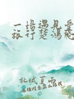 一场遇见爱情的旅行楚鸿飞结局