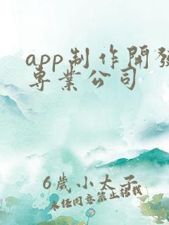 app制作开发专业公司
